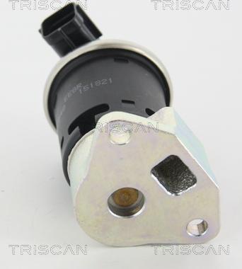 Triscan 8813 21004 - EGR Valve onlydrive.pro