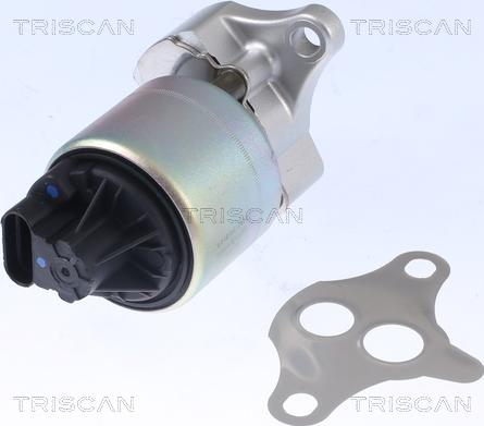 Triscan 8813 21001 - EGR Valve onlydrive.pro