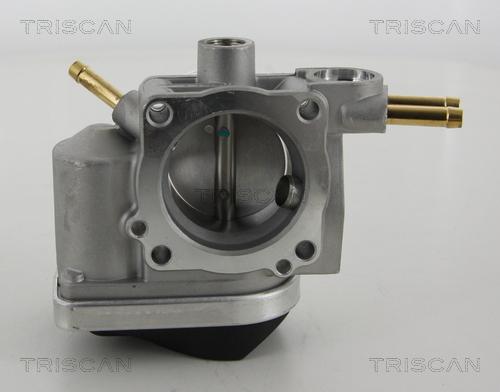 Triscan 8820 29005 - Drosselklapihoob onlydrive.pro