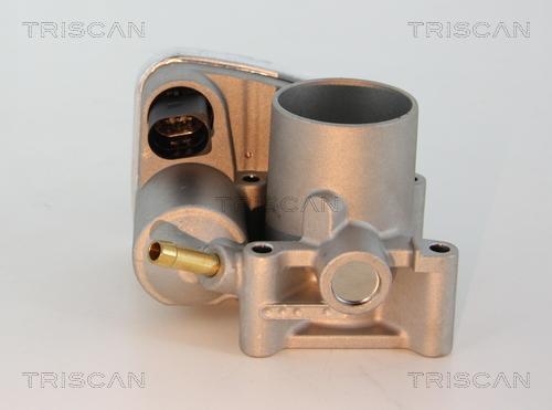 Triscan 8820 29001 - Throttle body onlydrive.pro