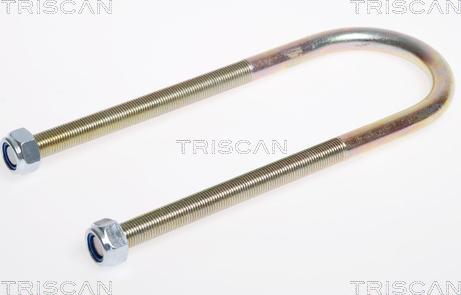 Triscan 8765 100009 - Spring Clamp onlydrive.pro