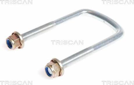 Triscan 8765 250001 - Spring Clamp onlydrive.pro