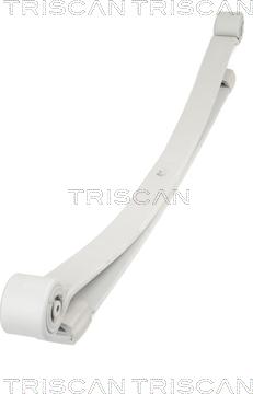 Triscan 8765 23025 - Spring Pack onlydrive.pro