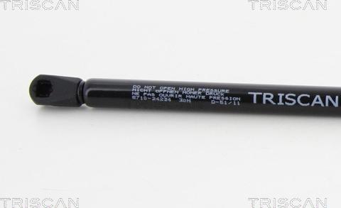 Triscan 8710 24234 - Gas Spring, boot, cargo area onlydrive.pro