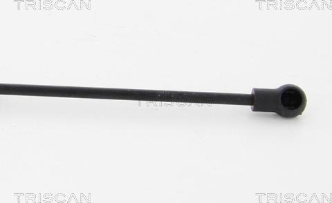 Triscan 8710 24234 - Gas Spring, boot, cargo area onlydrive.pro