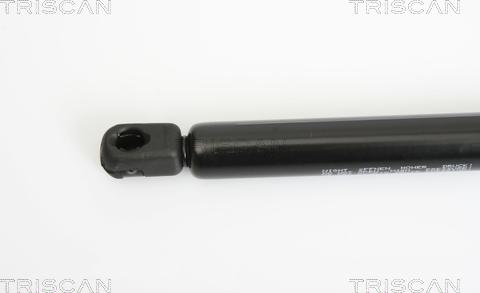 Triscan 8710 24230 - Gas Spring, boot, cargo area onlydrive.pro