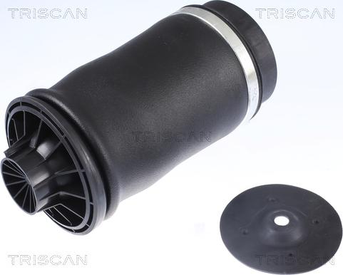 Triscan 8720 23204 - Air Spring, suspension onlydrive.pro