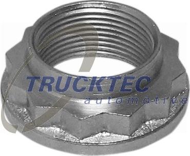 Trucktec Automotive 08.32.053 - Axle Nut, drive shaft onlydrive.pro