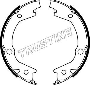 Trusting 046.220 - Brake Shoe Set, parking brake onlydrive.pro