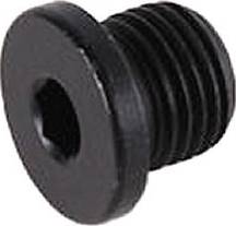 VAG N 016 027 6 - Sealing Plug, oil sump onlydrive.pro