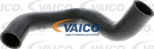 VAICO V40-1166 - Radiatora cauruļvads onlydrive.pro