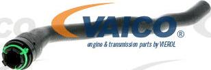 VAICO V40-1352 - Radiator Hose onlydrive.pro