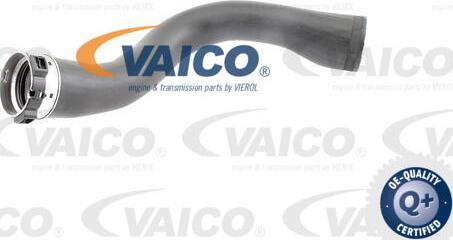 VAICO V40-1364 - Charger Intake Air Hose onlydrive.pro