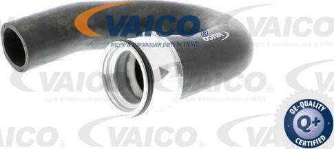 VAICO V40-1363 - Charger Intake Air Hose onlydrive.pro