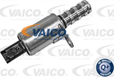 VAICO V42-0629 - Control Valve, camshaft adjustment onlydrive.pro