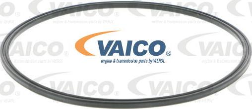 VAICO V10-4417 - Seal, fuel sender unit onlydrive.pro