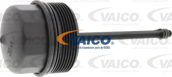 VAICO V10-4016 - Cap, oil filter housing onlydrive.pro