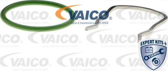 VAICO V10-4804 - Hose, crankcase breather onlydrive.pro