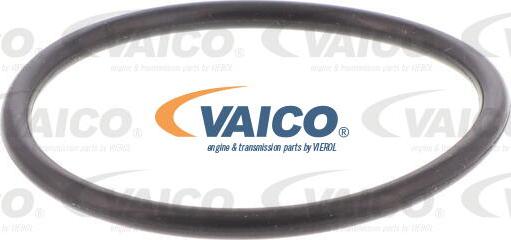 VAICO V10-5393 - Hidrofiltrs, Automātiskā pārnesumkārba onlydrive.pro