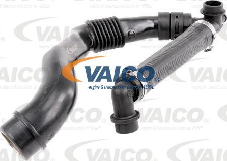 VAICO V10-0774 - Hose, cylinder head cover breather onlydrive.pro