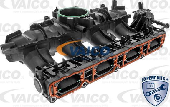 VAICO V10-3954 - Модуль впускной трубы onlydrive.pro