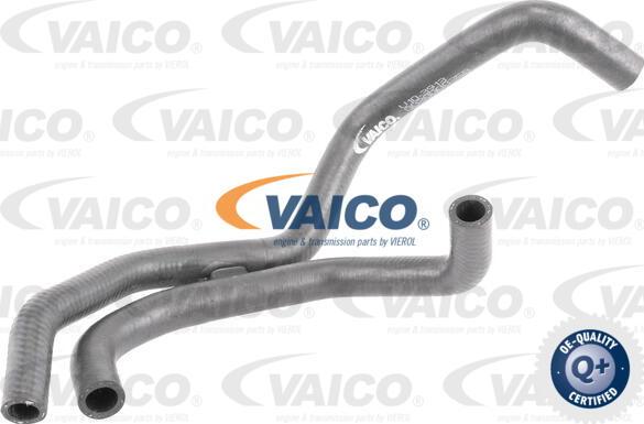 VAICO V10-3913 - Radiator Hose onlydrive.pro