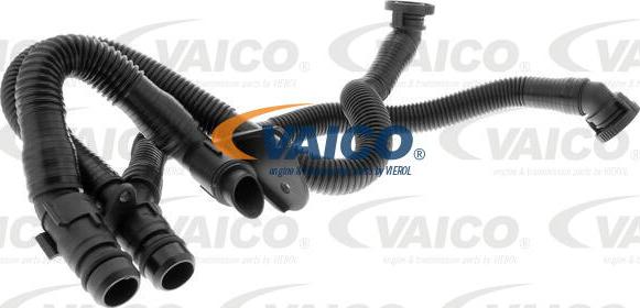 VAICO V10-3503 - Шланг, вентиляция картера onlydrive.pro