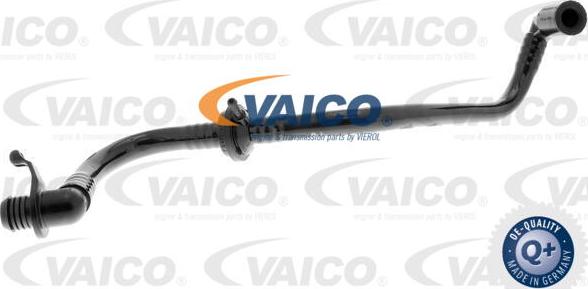 VAICO V10-3645 - Шланг разрежения, тормозная система onlydrive.pro