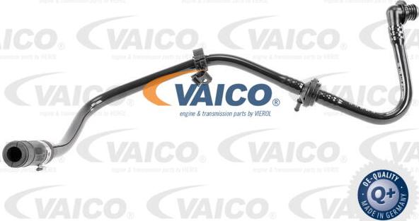 VAICO V10-3607 - Vakuuma šļūtene, Bremžu sistēma onlydrive.pro