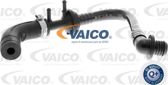 VAICO V10-3610 - Vakuumo žarna, stabdžių sistema onlydrive.pro