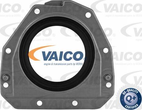 VAICO V10-3685 - Уплотняющее кольцо, коленчатый вал onlydrive.pro