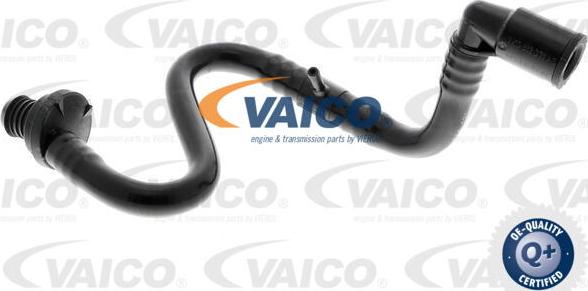 VAICO V10-3633 - Шланг разрежения, тормозная система onlydrive.pro