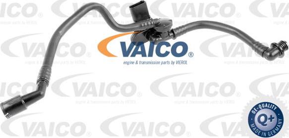 VAICO V10-3629 - Vakuumo žarna, stabdžių sistema onlydrive.pro