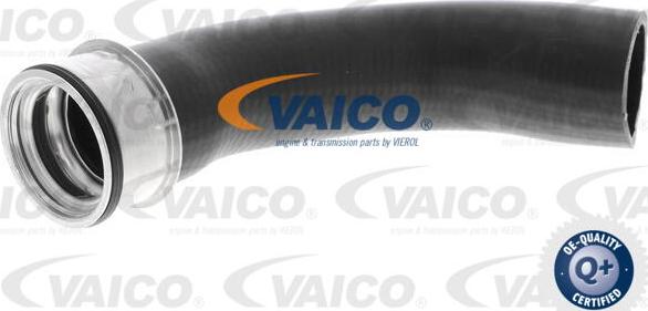 VAICO V10-3802 - Charger Intake Air Hose onlydrive.pro