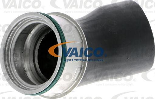 VAICO V10-3820 - Kompresoriaus padavimo žarna onlydrive.pro