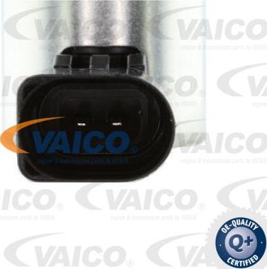 VAICO V10-3731 - Control Valve, camshaft adjustment onlydrive.pro