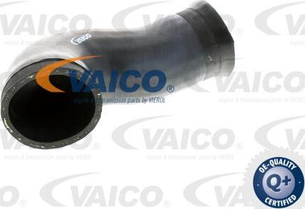 VAICO V10-2924 - Charger Intake Air Hose onlydrive.pro