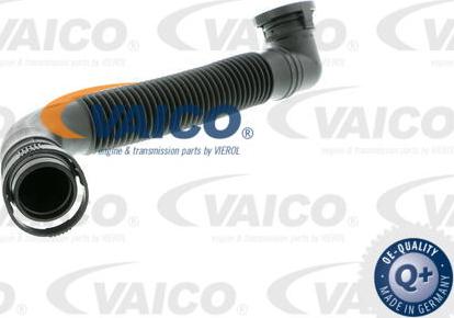 VAICO V10-2527 - Hose, air supply onlydrive.pro