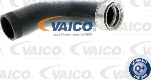 VAICO V10-2699 - Charger Intake Air Hose onlydrive.pro