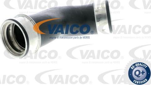 VAICO V10-2856 - Charger Intake Air Hose onlydrive.pro