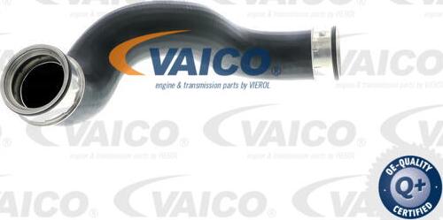 VAICO V10-2865 - Charger Intake Air Hose onlydrive.pro