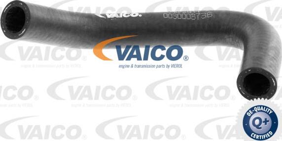 VAICO V10-2814 - Шланг радиатора onlydrive.pro