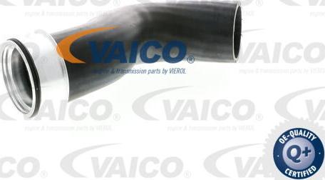 VAICO V10-2833 - Charger Intake Air Hose onlydrive.pro