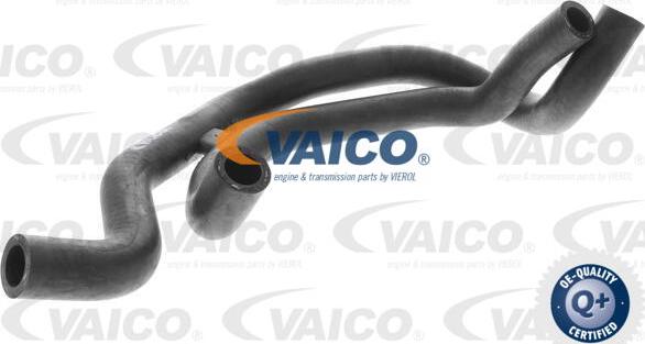 VAICO V10-2821 - Radiatora cauruļvads onlydrive.pro