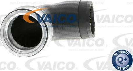 VAICO V10-2874 - Трубка, нагнетание воздуха onlydrive.pro