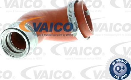 VAICO V10-2870 - Charger Intake Air Hose onlydrive.pro