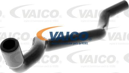 VAICO V30-1612 - Šļūtene, Motora galvas vāka ventilācija onlydrive.pro