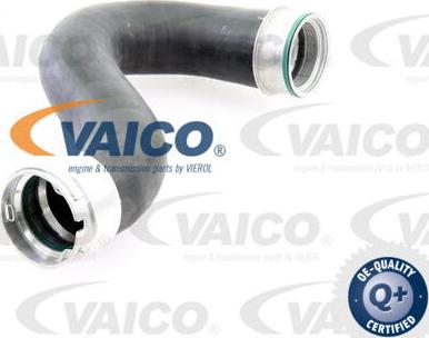 VAICO V30-1799 - Charger Intake Air Hose onlydrive.pro