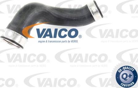 VAICO V30-1789 - Charger Intake Air Hose onlydrive.pro