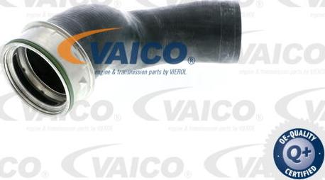 VAICO V30-1786 - Charger Intake Air Hose onlydrive.pro